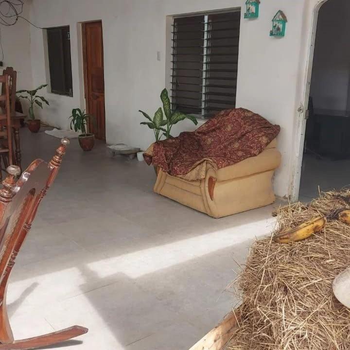 Hostal Brisas Del Ometepe Rivas Exteriör bild
